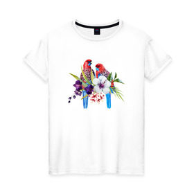 Женская футболка хлопок с принтом Попугаи , 100% хлопок | прямой крой, круглый вырез горловины, длина до линии бедер, слегка спущенное плечо | myparrots | акварель | попугаи | птиц | розелла | цветы