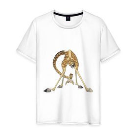 Мужская футболка хлопок с принтом Мадагаскар (3) , 100% хлопок | прямой крой, круглый вырез горловины, длина до линии бедер, слегка спущенное плечо. | madagascar | жираф | мадагаскар