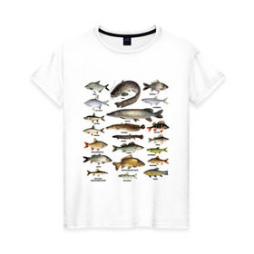 Женская футболка хлопок с принтом Популярные виды рыб , 100% хлопок | прямой крой, круглый вырез горловины, длина до линии бедер, слегка спущенное плечо | рыба | рыбалка | рыбачить | туризм | туристические | туристу | улов