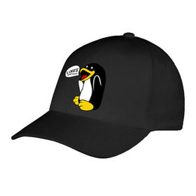 Бейсболка с принтом Пингвин: Linux , 100% хлопок | классический козырек, металлическая застежка-регулятор размера | Тематика изображения на принте: пингвин