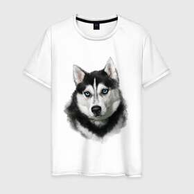 Мужская футболка хлопок с принтом Хаски , 100% хлопок | прямой крой, круглый вырез горловины, длина до линии бедер, слегка спущенное плечо. | animals | dog | mountain | животные | прикольные картинки | собака | хаски