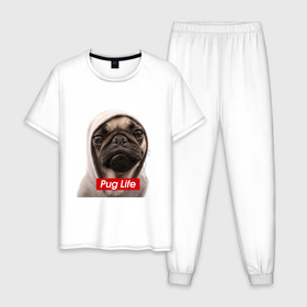 Мужская пижама хлопок с принтом Pug life , 100% хлопок | брюки и футболка прямого кроя, без карманов, на брюках мягкая резинка на поясе и по низу штанин
 | pug life | жизнь | капюшон | мопс | собака