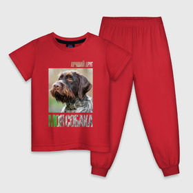 Детская пижама хлопок с принтом Дратхаар, лучший, друг, собака , 100% хлопок |  брюки и футболка прямого кроя, без карманов, на брюках мягкая резинка на поясе и по низу штанин
 | drug | дратхаар | порода | собака