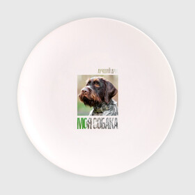 Тарелка с принтом Дратхаар, лучший, друг, собака , фарфор | диаметр - 210 мм
диаметр для нанесения принта - 120 мм | drug | дратхаар | порода | собака