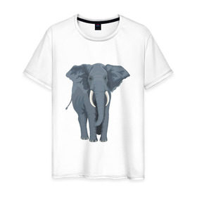 Мужская футболка хлопок с принтом Слон , 100% хлопок | прямой крой, круглый вырез горловины, длина до линии бедер, слегка спущенное плечо. | 