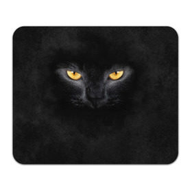 Коврик прямоугольный с принтом Черная кошка , натуральный каучук | размер 230 х 185 мм; запечатка лицевой стороны | глаза | киса | кот | котик | кошка | черная кошка