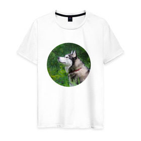 Мужская футболка хлопок с принтом Хаски , 100% хлопок | прямой крой, круглый вырез горловины, длина до линии бедер, слегка спущенное плечо. | dog | husky | собака | хаски | щенок