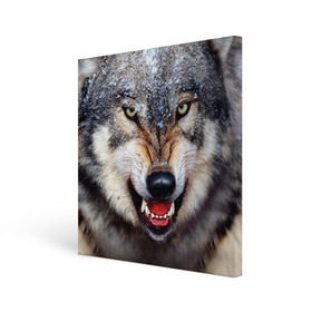 Холст квадратный с принтом Волк , 100% ПВХ |  | Тематика изображения на принте: волк | животные | злой волк | зубы | оскал