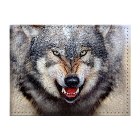 Обложка для студенческого билета с принтом Волк , натуральная кожа | Размер: 11*8 см; Печать на всей внешней стороне | Тематика изображения на принте: волк | животные | злой волк | зубы | оскал