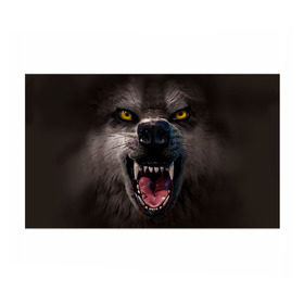 Бумага для упаковки 3D с принтом Злой волк , пластик и полированная сталь | круглая форма, металлическое крепление в виде кольца | Тематика изображения на принте: волк | животные | злой волк | зубы | оскал