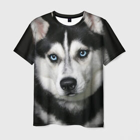Мужская футболка 3D с принтом Хаски , 100% полиэфир | прямой крой, круглый вырез горловины, длина до линии бедер | животные | собака | хаски