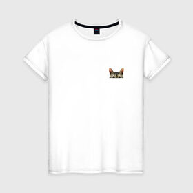 Женская футболка хлопок с принтом Кот в кармашке , 100% хлопок | прямой крой, круглый вырез горловины, длина до линии бедер, слегка спущенное плечо | Тематика изображения на принте: в кармане | киса | кот | коты | кошки | подглядывающий