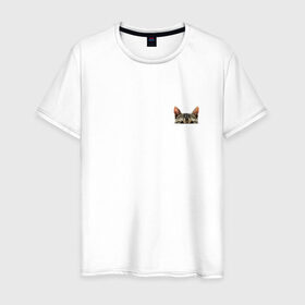 Мужская футболка хлопок с принтом Кот в кармашке , 100% хлопок | прямой крой, круглый вырез горловины, длина до линии бедер, слегка спущенное плечо. | Тематика изображения на принте: в кармане | киса | кот | коты | кошки | подглядывающий