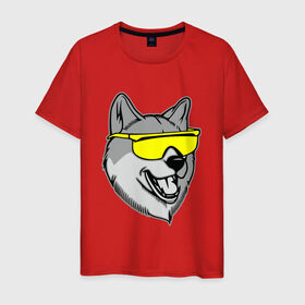 Мужская футболка хлопок с принтом Хаски в очках , 100% хлопок | прямой крой, круглый вырез горловины, длина до линии бедер, слегка спущенное плечо. | голова | животные | очки | пес | собака | хаски