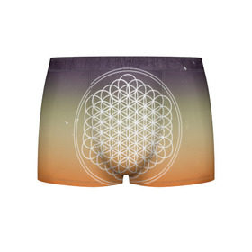 Мужские трусы 3D с принтом Bring Me The Horizon , 50% хлопок, 50% полиэстер | классическая посадка, на поясе мягкая тканевая резинка | bmth | bring me the horizon | hardcore