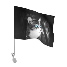 Флаг для автомобиля с принтом Кот , 100% полиэстер | Размер: 30*21 см | взгляд | глаза | голубые | кот