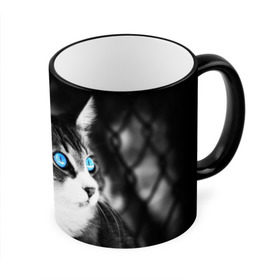 Кружка 3D с принтом Кот , керамика | ёмкость 330 мл | Тематика изображения на принте: взгляд | глаза | голубые | кот