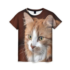 Женская футболка 3D с принтом Кот , 100% полиэфир ( синтетическое хлопкоподобное полотно) | прямой крой, круглый вырез горловины, длина до линии бедер | домашняя | животное | кот | котэ | кошка