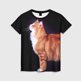 Женская футболка 3D с принтом Рыжий кот , 100% полиэфир ( синтетическое хлопкоподобное полотно) | прямой крой, круглый вырез горловины, длина до линии бедер | домашняя | животное | кот | котэ | кошка | рыжая
