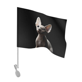 Флаг для автомобиля с принтом Сфинкс , 100% полиэстер | Размер: 30*21 см | домашняя | животное | кот | котэ | кошка | сфинкс