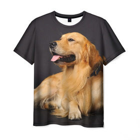 Мужская футболка 3D с принтом Золотистый ретривер , 100% полиэфир | прямой крой, круглый вырез горловины, длина до линии бедер | Тематика изображения на принте: животное | золотистый ретривер | порода | собака