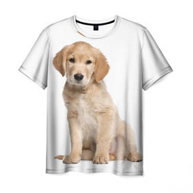Мужская футболка 3D с принтом Золотистый ретривер , 100% полиэфир | прямой крой, круглый вырез горловины, длина до линии бедер | Тематика изображения на принте: животное | золотистый ретривер | порода | собака