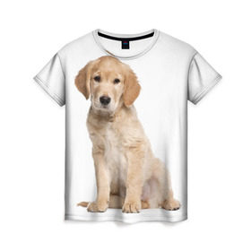 Женская футболка 3D с принтом Золотистый ретривер , 100% полиэфир ( синтетическое хлопкоподобное полотно) | прямой крой, круглый вырез горловины, длина до линии бедер | Тематика изображения на принте: животное | золотистый ретривер | порода | собака