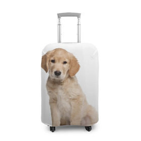 Чехол для чемодана 3D с принтом Золотистый ретривер , 86% полиэфир, 14% спандекс | двустороннее нанесение принта, прорези для ручек и колес | Тематика изображения на принте: животное | золотистый ретривер | порода | собака