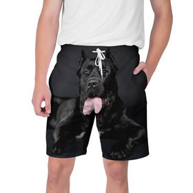 Мужские шорты 3D с принтом Канне корсо ,  полиэстер 100% | прямой крой, два кармана без застежек по бокам. Мягкая трикотажная резинка на поясе, внутри которой широкие завязки. Длина чуть выше колен | животное | канне корсо | порода | собака