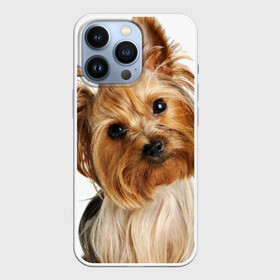 Чехол для iPhone 13 Pro с принтом Йоркширский терьер ,  |  | животное | йоркширский терьер | порода | собака