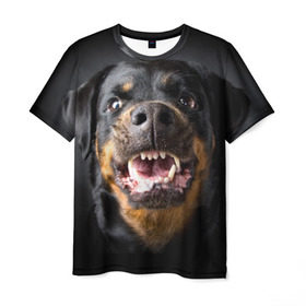 Мужская футболка 3D с принтом Ротвейлер , 100% полиэфир | прямой крой, круглый вырез горловины, длина до линии бедер | Тематика изображения на принте: животное | порода | ротвейлер | собака