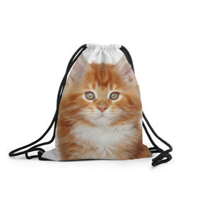 Рюкзак-мешок 3D с принтом Рыжий котенок , 100% полиэстер | плотность ткани — 200 г/м2, размер — 35 х 45 см; лямки — толстые шнурки, застежка на шнуровке, без карманов и подкладки | Тематика изображения на принте: животное | порода | рыжий котенок