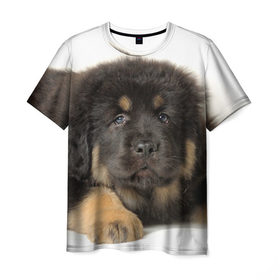 Мужская футболка 3D с принтом Тибетский мастиф , 100% полиэфир | прямой крой, круглый вырез горловины, длина до линии бедер | Тематика изображения на принте: животное | порода | собака