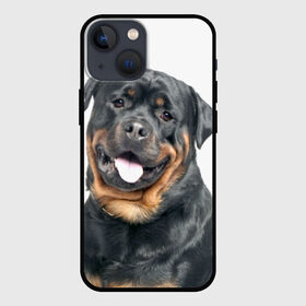 Чехол для iPhone 13 mini с принтом Ротвейлер ,  |  | животное | порода | ротвейлер | собака