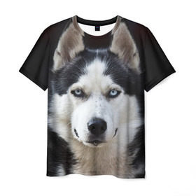 Мужская футболка 3D с принтом Хаски , 100% полиэфир | прямой крой, круглый вырез горловины, длина до линии бедер | бандит | животное | порода | собака | хаски | хаски бандит