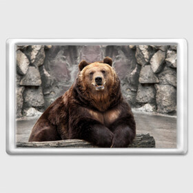 Магнит 45*70 с принтом Русский медведь , Пластик | Размер: 78*52 мм; Размер печати: 70*45 | медведь | россия | русский | русский медведь