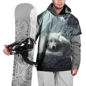Накидка на куртку 3D с принтом Волк в горах , 100% полиэстер |  | Тематика изображения на принте: animal