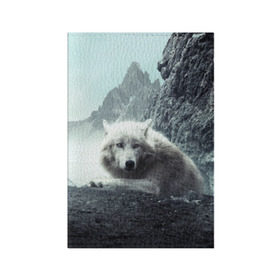 Обложка для паспорта матовая кожа с принтом Волк в горах , натуральная матовая кожа | размер 19,3 х 13,7 см; прозрачные пластиковые крепления | animal