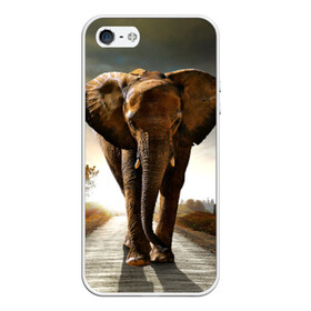 Чехол для iPhone 5/5S матовый с принтом Дикий слон , Силикон | Область печати: задняя сторона чехла, без боковых панелей | слон