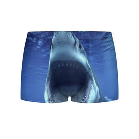 Мужские трусы 3D с принтом Белая акула , 50% хлопок, 50% полиэстер | классическая посадка, на поясе мягкая тканевая резинка | shark | море | синий