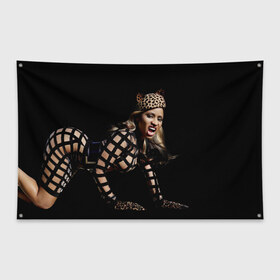 Флаг-баннер с принтом Ники Минаж , 100% полиэстер | размер 67 х 109 см, плотность ткани — 95 г/м2; по краям флага есть четыре люверса для крепления | onika tanya maraj | автор исполнитель | актриса | американская | ники минаж | певица | рэпер