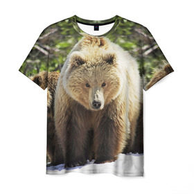 Мужская футболка 3D с принтом Медведи , 100% полиэфир | прямой крой, круглый вырез горловины, длина до линии бедер | звери | медведь | мишка | природа