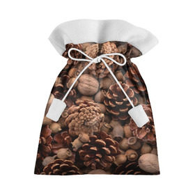 Подарочный 3D мешок с принтом Шишки и орешки , 100% полиэстер | Размер: 29*39 см | Тематика изображения на принте: дуб | ёлка | ель | жёлудь | иголки | кедр | лес | орех | орешки | осень | сосна | шишки
