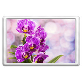 Магнит 45*70 с принтом Божественная орхидея , Пластик | Размер: 78*52 мм; Размер печати: 70*45 | Тематика изображения на принте: 8 марта | букет | весна | красота | куст | лето | орхидея | подарок | сиреневый цвет | цветок | шикарный цветочек