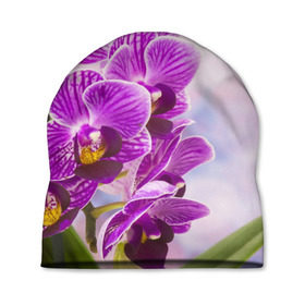 Шапка 3D с принтом Божественная орхидея , 100% полиэстер | универсальный размер, печать по всей поверхности изделия | Тематика изображения на принте: 8 марта | букет | весна | красота | куст | лето | орхидея | подарок | сиреневый цвет | цветок | шикарный цветочек