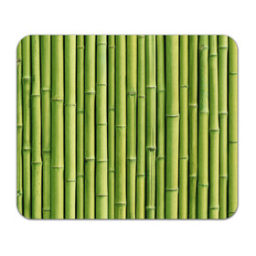 Коврик прямоугольный с принтом Бамбук , натуральный каучук | размер 230 х 185 мм; запечатка лицевой стороны | бамбук | дерево | джунгли | кустарник | надёжность | прочность | стена