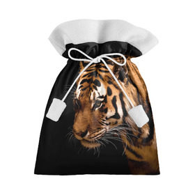 Подарочный 3D мешок с принтом Тигр , 100% полиэстер | Размер: 29*39 см | полосы | хищник