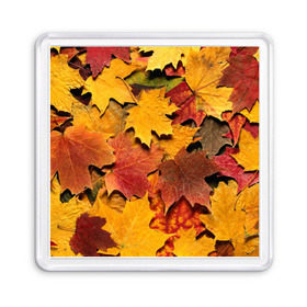 Магнит 55*55 с принтом Осень на дворе , Пластик | Размер: 65*65 мм; Размер печати: 55*55 мм | Тематика изображения на принте: бордовый | жёлтый | красный | листва | листья