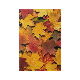 Обложка для паспорта матовая кожа с принтом Осень на дворе , натуральная матовая кожа | размер 19,3 х 13,7 см; прозрачные пластиковые крепления | бордовый | жёлтый | красный | листва | листья
