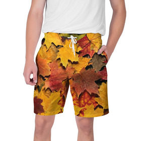 Мужские шорты 3D с принтом Осень на дворе ,  полиэстер 100% | прямой крой, два кармана без застежек по бокам. Мягкая трикотажная резинка на поясе, внутри которой широкие завязки. Длина чуть выше колен | бордовый | жёлтый | красный | листва | листья